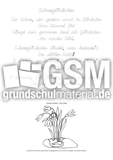 Nachspuren-Schneeglöckchen-Rückert-SAS.pdf